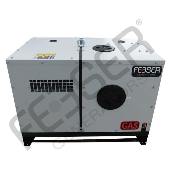 Feeser Stromerzeuger P-H5-S/LPG-400